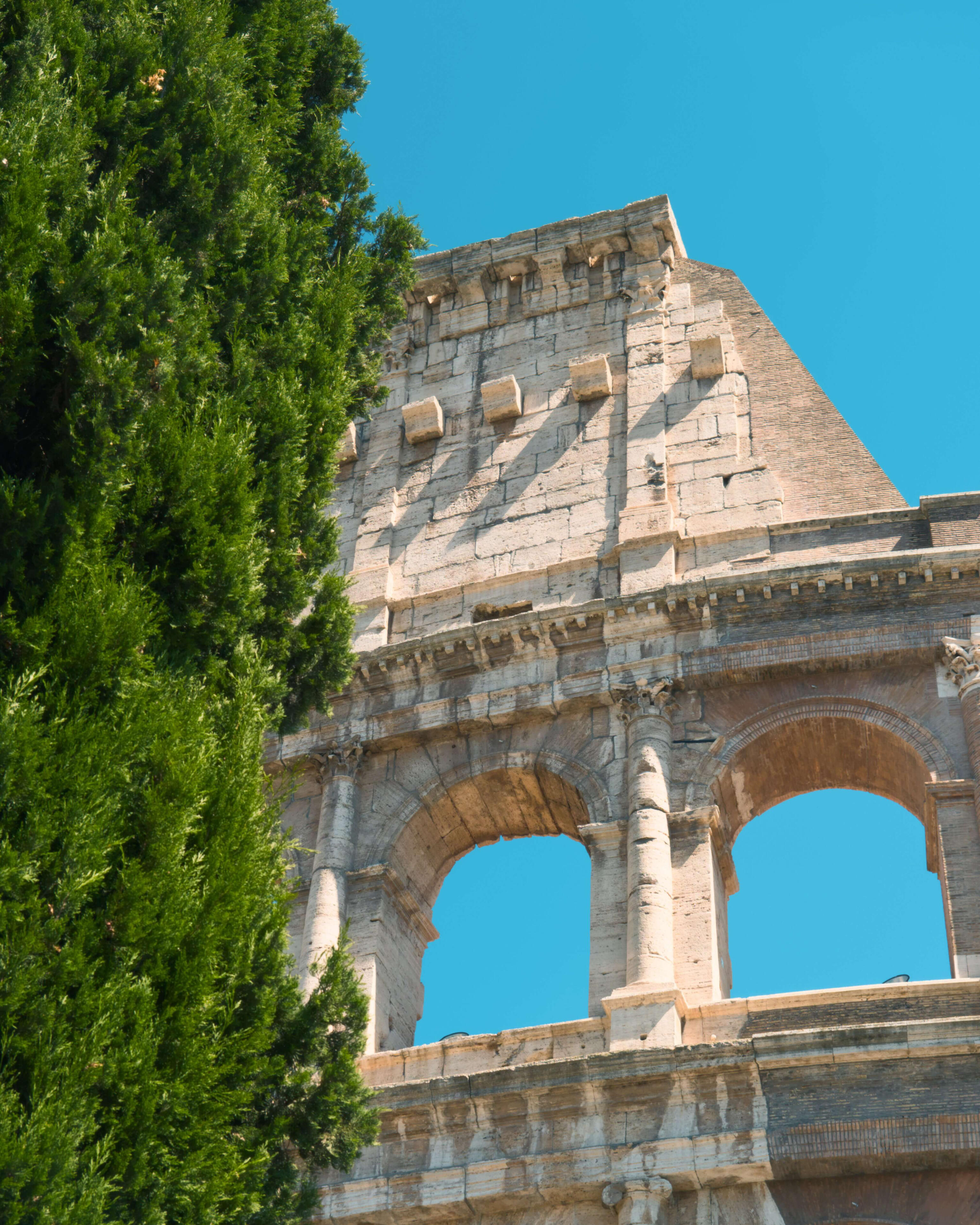 Koloseum, wykadrowane tak, że widoczne są arkady i antyczna kamienna konstrukcja. Z lewej strony kadru widoczna zieleń cyprysu, w tle bezchmurne niebo